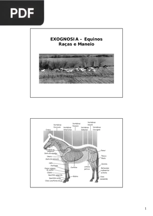 Exognosia– Equinos Raças e Maneio